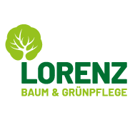 Baum Lorenz